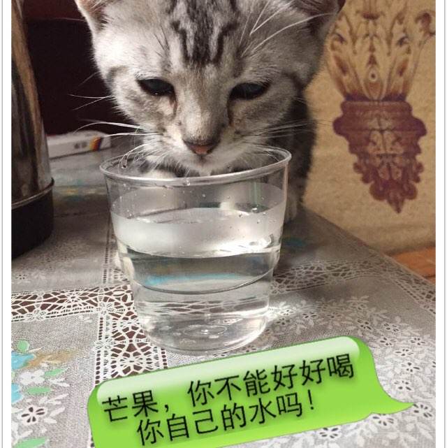 学位证书有什么用途
